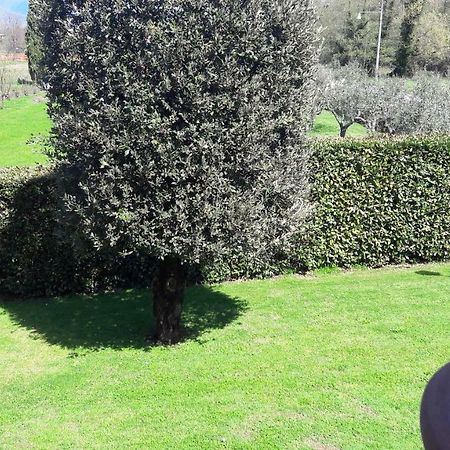 Villa Serena Capannori Esterno foto