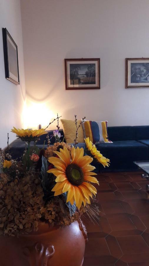 Villa Serena Capannori Esterno foto